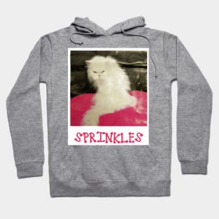 The Office - Angela's Cat Sprinkle - Funny T-Shirt - Dunder Mifflin Cat Hoodie